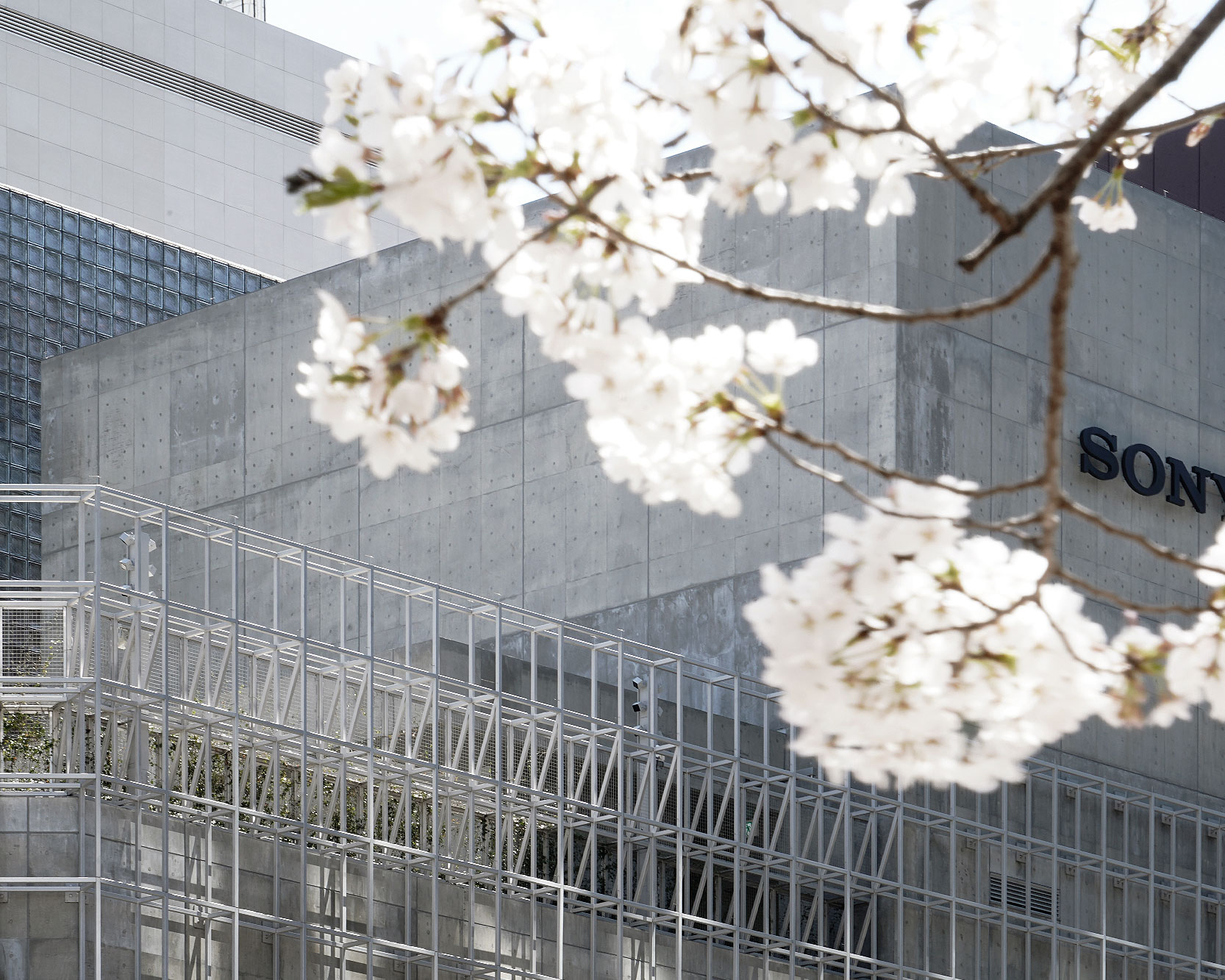 The Sony logo is displayed on the outer wall of Ginza Sony Park, visible through blooming cherry tree branches.