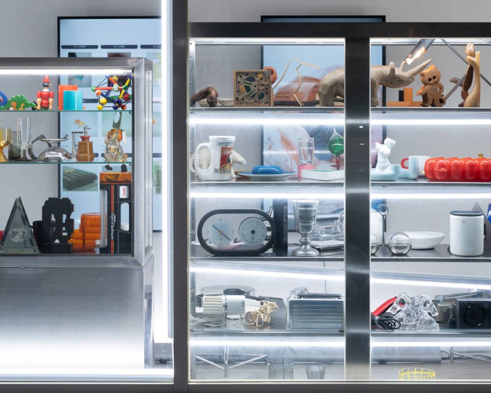 Exhibit. Numerous products of various genres line the glass showcases.