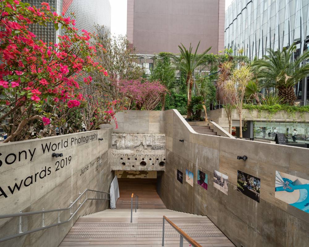 Exhibit. The title of the program and photographic pieces are displayed even on the side of the staircase leading down from the ground floor to the basement.