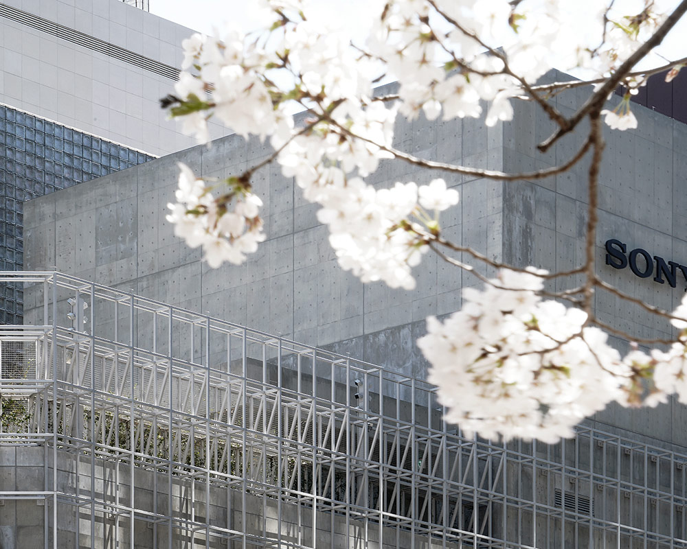 The Sony logo is displayed on the outer wall of Ginza Sony Park, visible through blooming cherry tree branches.